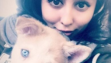 حیوان خانگی ستاره حسینی