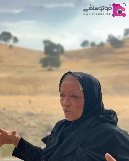 بیوگرافی پانته آ پناهی ها بیوگرافی پانتهآ پناهی ها