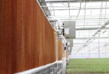 کاربرد مه پاش