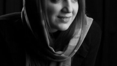 زندگینامه نسرین بابایی در سریال بی همگان