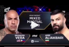 فایت امیرعلی اکبری