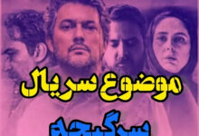 خلاصه داستان و قسمت آخر سریال سرگیجه نمایش خانگی + عکس موضوع سریال سرگیجه