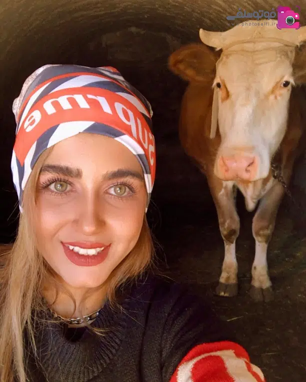 عکس و بیوگرافی ستایش موسوی عکس و بیوگرافی ستایش موسوی