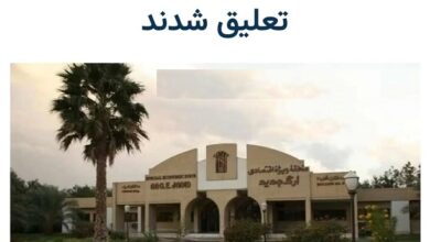 ماجرای درگیری 6 مامور انتظامی با گردشگران در ارگ جدید بم کرمان تعلیق مامور انتظامی ارگ جدید بم