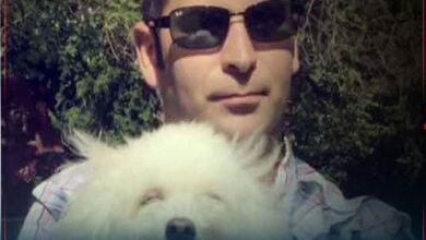 الکس اعدام شد