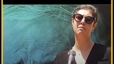 کشف حجاب ماهور احمدی