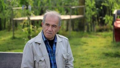 درگذشت رضا نوروزی