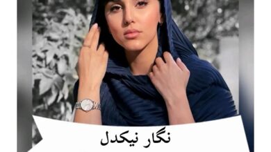 زندگینامه نگار نیکدل