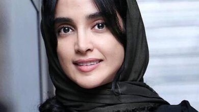بیوگرافی الهه حصاری بازیگر محبوب، در نقش کیمیا در سریال زخم کاری بیوگرافی الهه حصاری