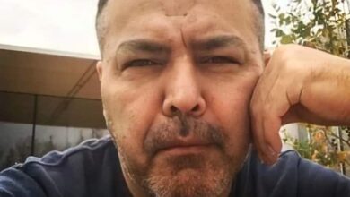 بیوگرافی فریبرز عرب نیا