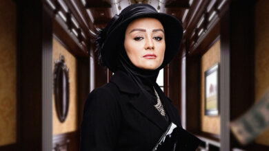 بیوگرافی نسرین مرادی