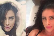 بیوگرافی ملیسا مهربان