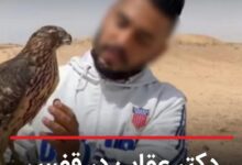 بازداشت دکتر عقاب