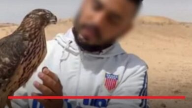 بازداشت دکتر عقاب