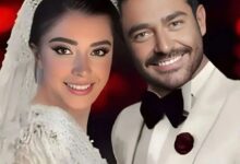 بیوگرافی آیسان آقا خانی همسر محمد رضا گلزار