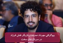 بیوگرافی مهرداد صدیقیان بازیگر نقش فرزاد در سریال جان سخت