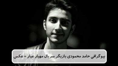 بیوگرافی حامد محمودی بازیگر سریال مهیار عیار