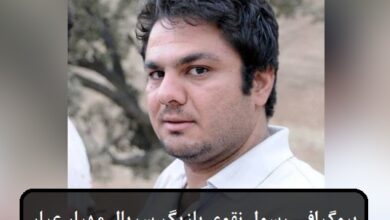 بیوگرافی رسول نقوی بازیگر سریال مهیار عیار + عکس بیوگرافی رسول نقوی زاده