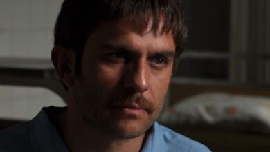 بیوگرافی بابک حمیدیان