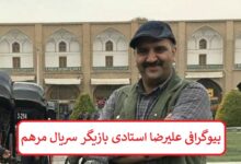 بیوگرافی علیرضا استادی بازیگر سریال مرهم + عکس های شخصی بیوگرافی علیرضا استادی بازیگر سریال مرهم