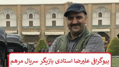 بیوگرافی علیرضا استادی بازیگر سریال مرهم