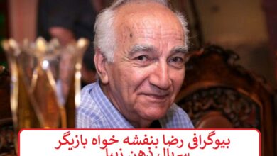 بیوگرافی رضا بنفشه خواه بازیگر سریال ذهن زیبا