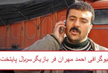 بیوگرافی احمد مهران فر بازیگر ارسطو عامل در سریال پایتخت بیوگرافی احمد مهران فر