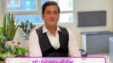 بیوگرافی وحید شیخ زاده بازیگر سریال ناریا + عکس های کودکی بیوگرافی وحید شیخ زاده