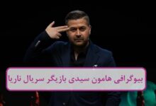 بیوگرافی هامون سیدی