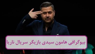 بیوگرافی هامون سیدی بازیگر سریال ناریا + عکس بیوگرافی هامون سیدی