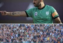 بیوگرافی علی مبارکی بازیکن فوتبال ایرانی + عکس بیوگرافی علی مبارکی