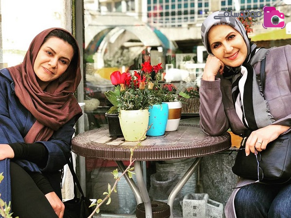 مرجان قمری مرجان قمری