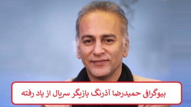 بیوگرافی حمیدرضا آذرنگ بازیگر سریال از یاد رفته + عکس بیوگرافی حمیدرضا آذرنگ