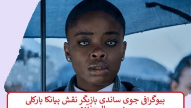 بیوگرافی جوی ساندی بازیگر