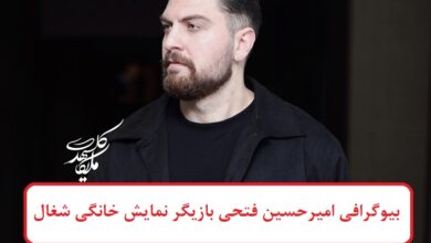 بیوگرافی امیرحسین فتحی بازیگر نقش کامیار در نمایش خانگی شغال بیوگرافی امیرحسین فتحی