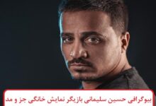 بیوگرافی حسین سلیمانی