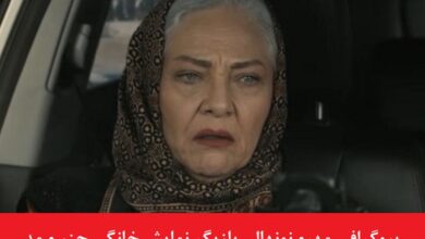 بیوگرافی مهرو نونهالی بازیگر نمایش خانگی جزر و مد