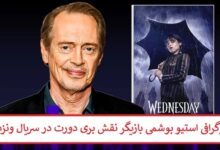 بیوگرافی استیو بوشمی بازیگر نقش بری دورت در سریال ونزدی