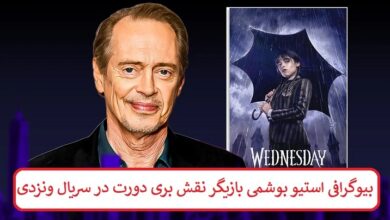 بیوگرافی استیو بوشمی بازیگر نقش بری دورت در سریال ونزدی