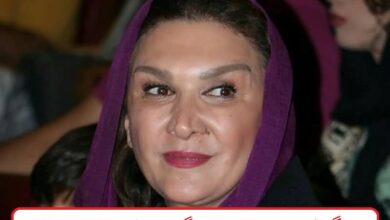 بیوگرافی مینا نوروزی