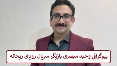 بیوگرافی وحید مبصری بازیگر سریال رویای ریحانه