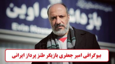 بیوگرافی امیر جعفری بازیگر طنز پرداز ایرانی + عکس بیوگرافی امیر جعفری بازیگر طنز پرداز ایرانی