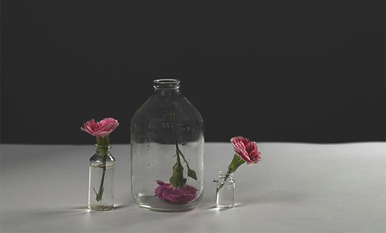 نحوه آبیاری گل رز