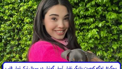 بیوگرافی لیزگه کومرت بازیگر نقش آسلی گونش در سریال ترکی تپش قلب بیوگرافی لیزگه کومرت بازیگر