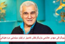 بیوگرافی مهدی هاشمی بازیگر