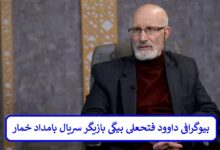 بیوگرافی داوود فتحعلی‌ بیگی بازیگر سریال بامداد خمار