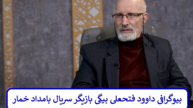 بیوگرافی داوود فتحعلی بیگی بازیگر سریال بامداد خمار + عکس بیوگرافی داوود فتحعلی بیگی بازیگر سریال بامداد خمار