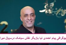 بیوگرافی پیام احمدی‌ نیا بازیگر