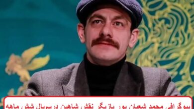 بیوگرافی محمد شعبان پور بازیگر نقش شاهین در سریال شش ماهه بیوگرافی محمد شعبان پور بازیگر