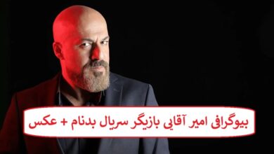 بیوگرافی امیر آقایی بازیگر سریال بدنام + عکس